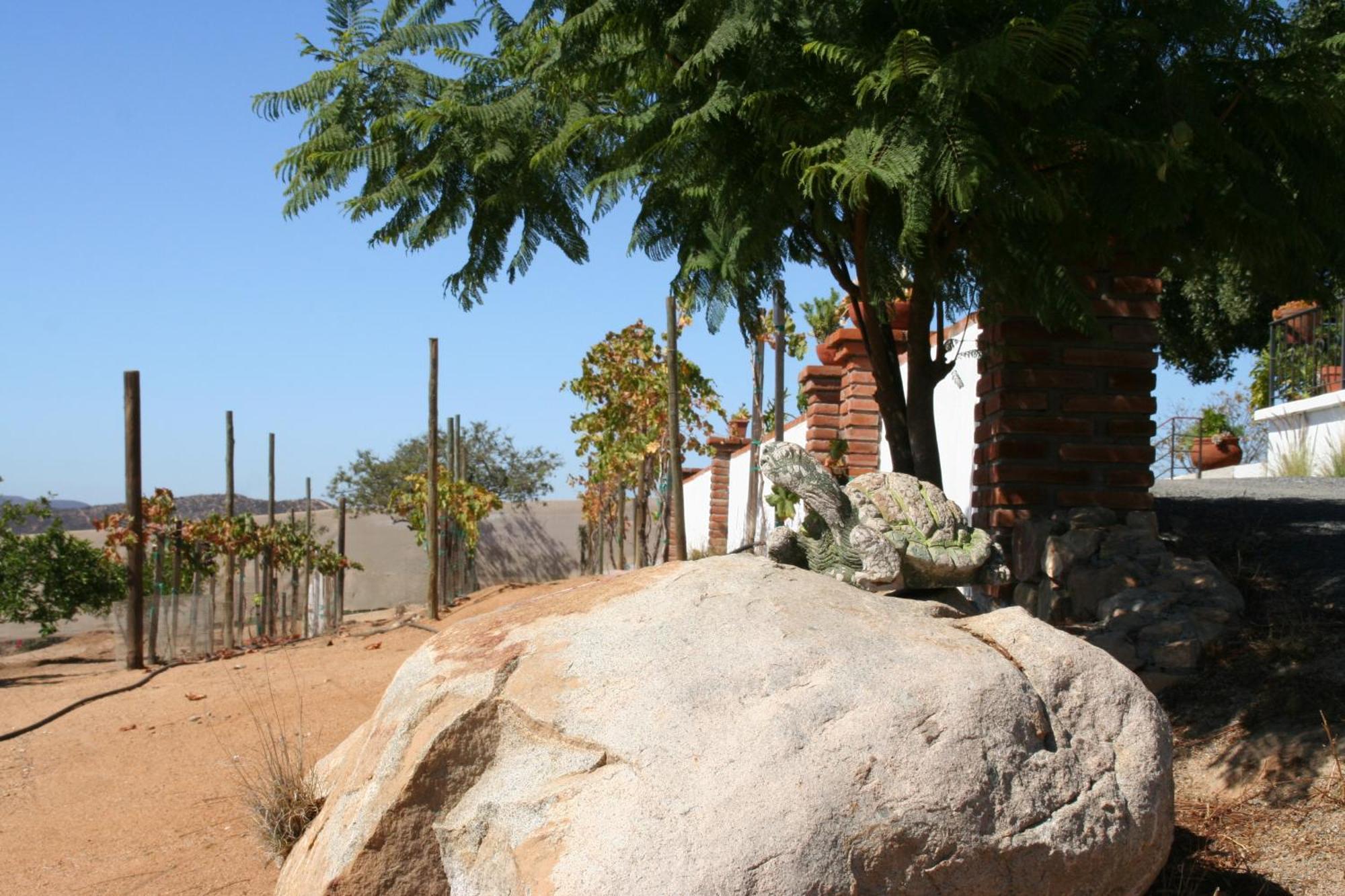Quinta Sofia Valle De Guadalupe (Adults Only) Exterior photo